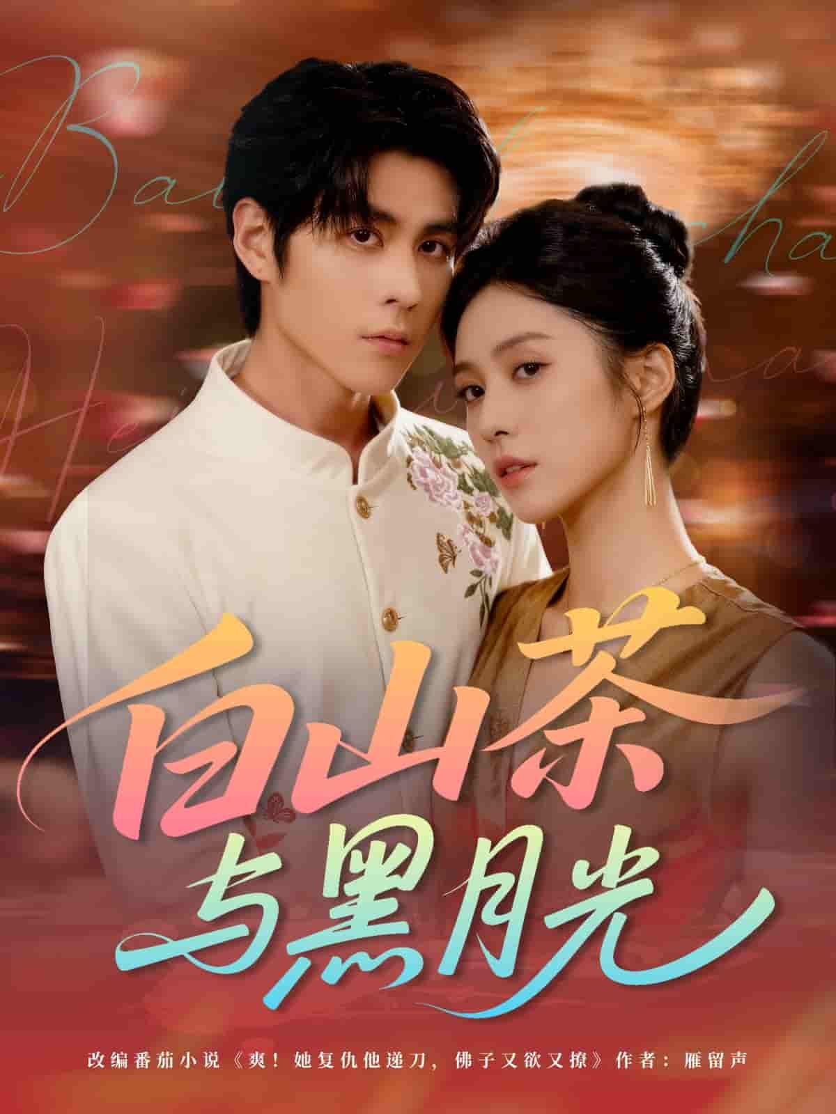 短剧 《白山茶与黑月光》 超高清完整全集无删减版在线观看  第1张