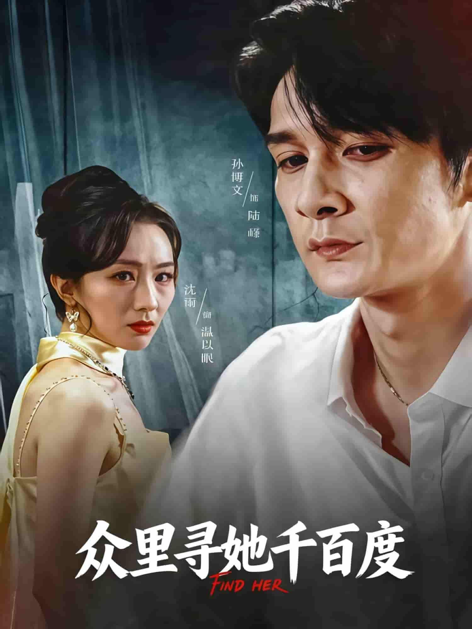 短剧众里寻她千百度HD高清全集无删减版在线播放  第1张