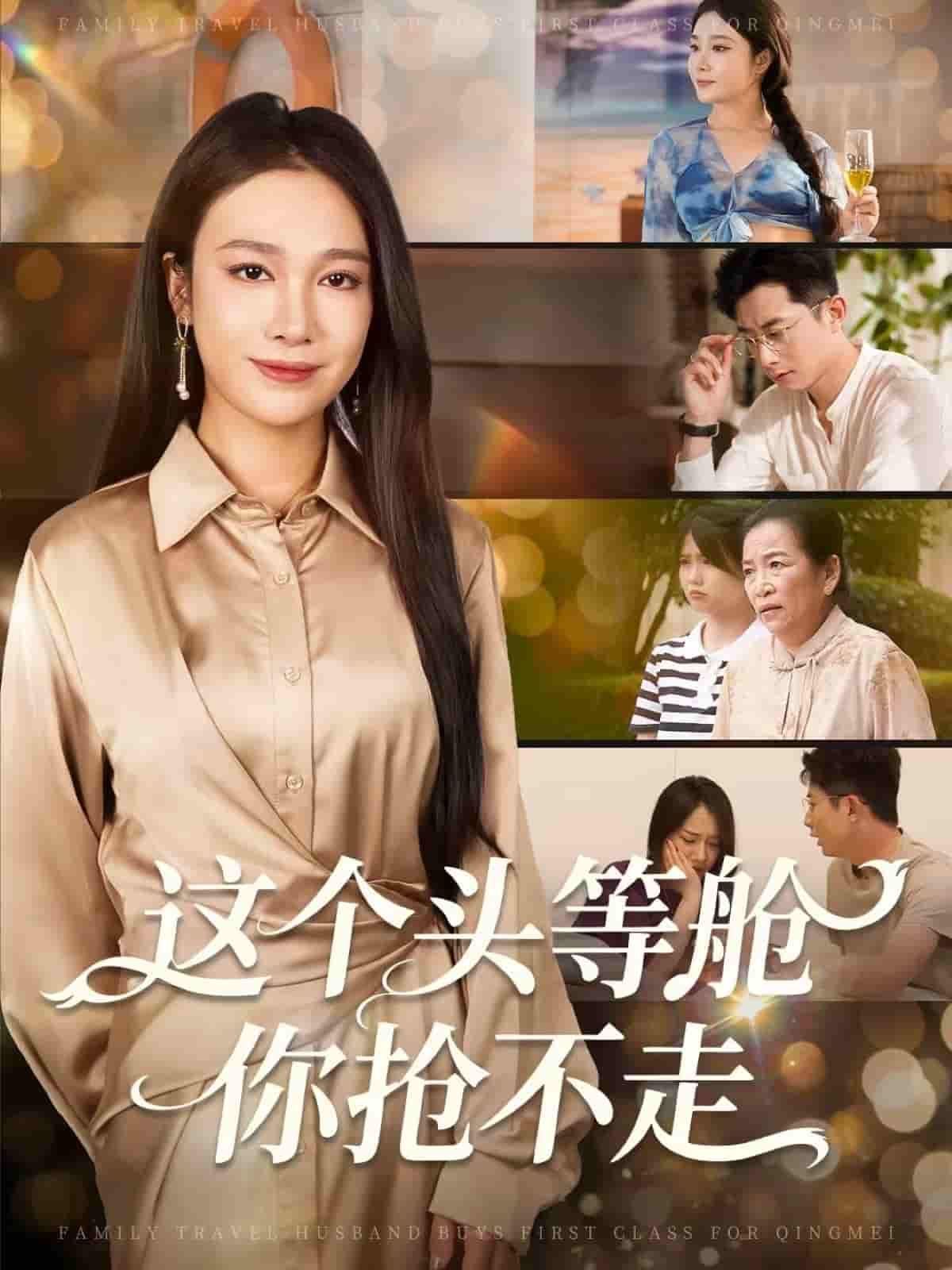 短剧 《这个头等舱你抢不走》 超高清无删减全集完整版在线播放  第1张
