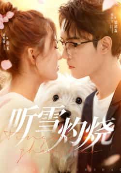 热门短剧听雪灼烧（68集）希尔力、刘美娜主演，全集完整版免费在线观看未删减，百度网盘夸克网盘资源分享下载。  第1张