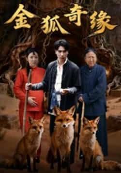 热门短剧金狐奇缘全集完整版免费无水印在线观看未删减版,百度夸克网盘免费资源分享下载。  第1张 热门短剧金狐奇缘全集完整版免费无水印在线观看未删减版,百度夸克网盘免费资源分享下载。  第1张