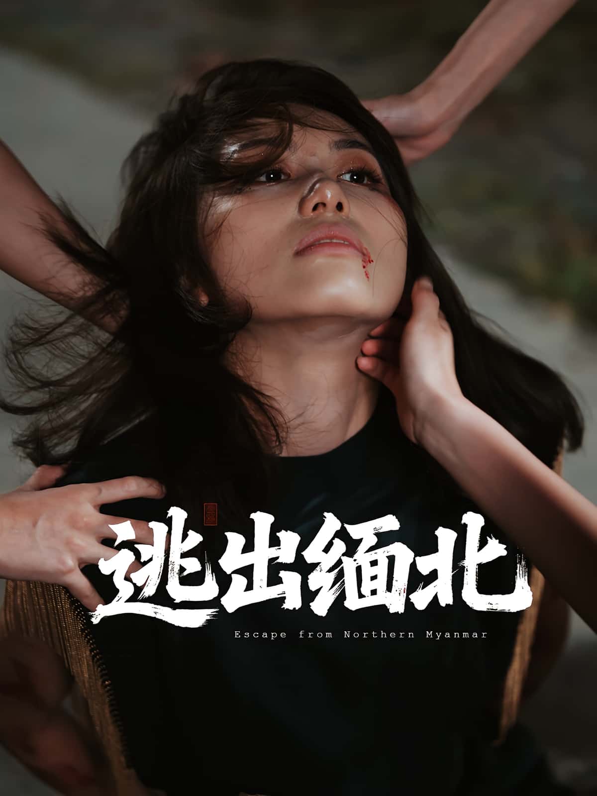 短剧 《逃出缅北》 高清完整全集无删减版免费在线看  第1张