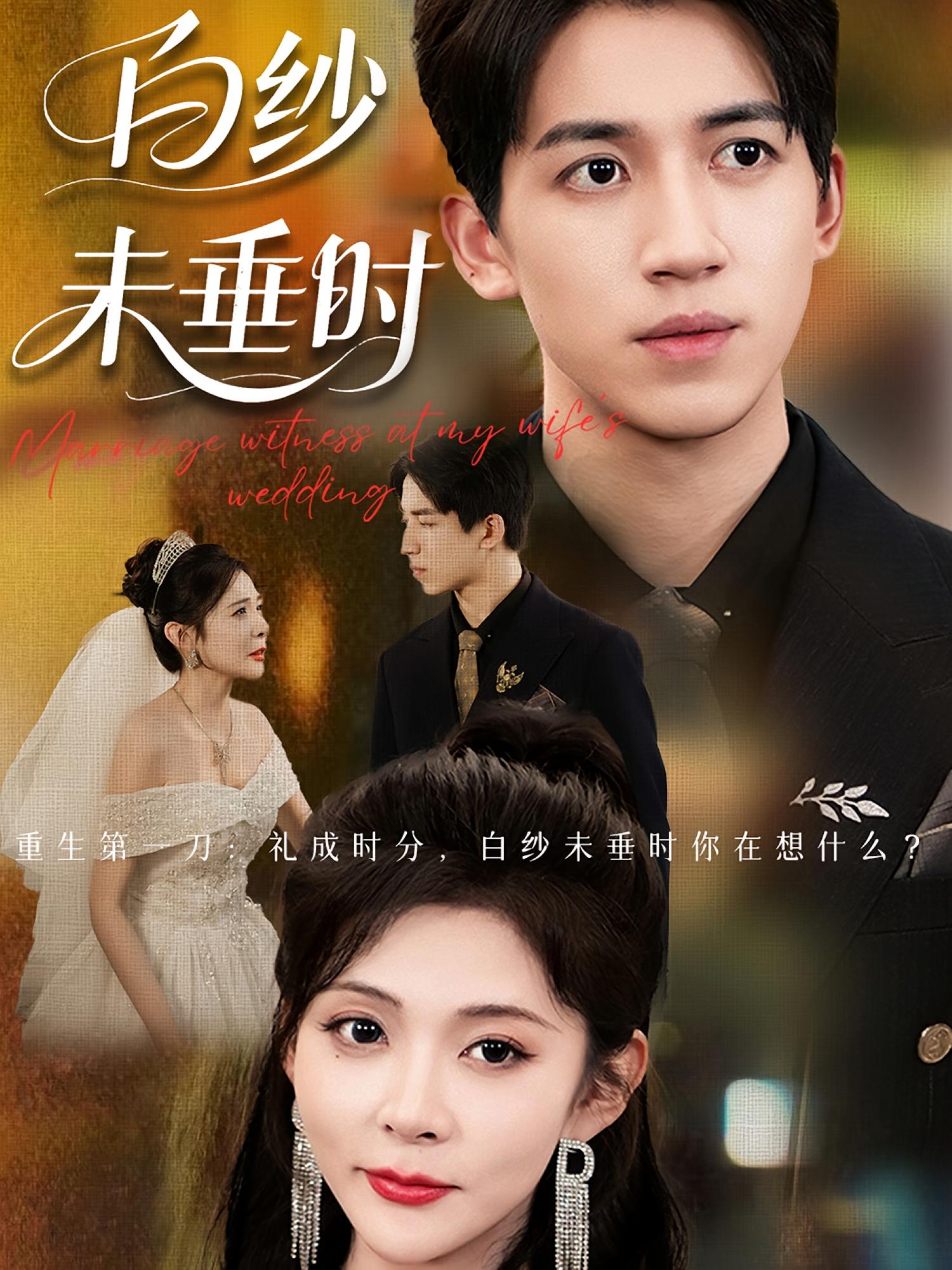 短剧 《老婆婚礼我当证婚人&白纱未垂时》 高清全集无删减版在线免费看  第1张